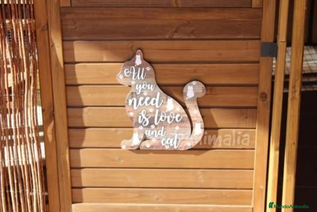 Imagen de galería {{count}}