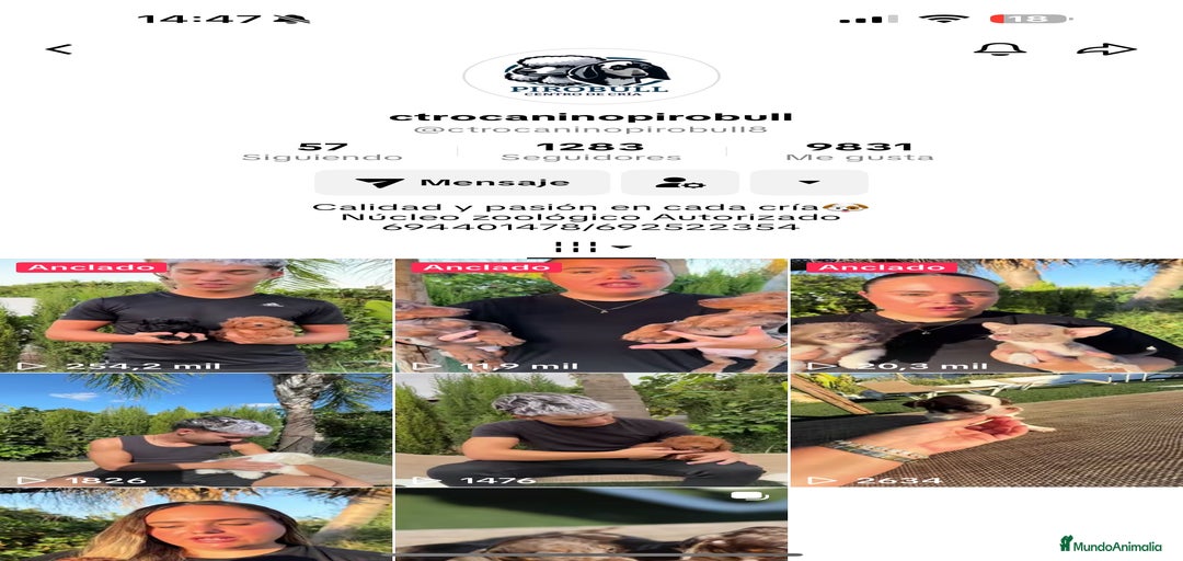 Imagen de galería {{count}}