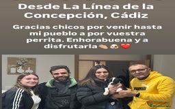 American Staffordshire-Terrier perros en venta: American Stanford (transparencia) - Anuncio 19