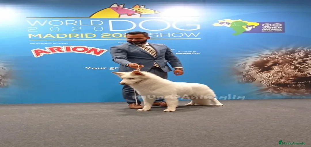 Imagen de galería {{count}}