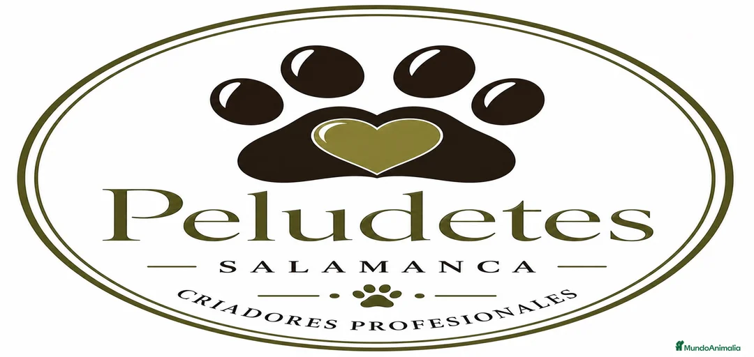 Imagen de galería {{count}}