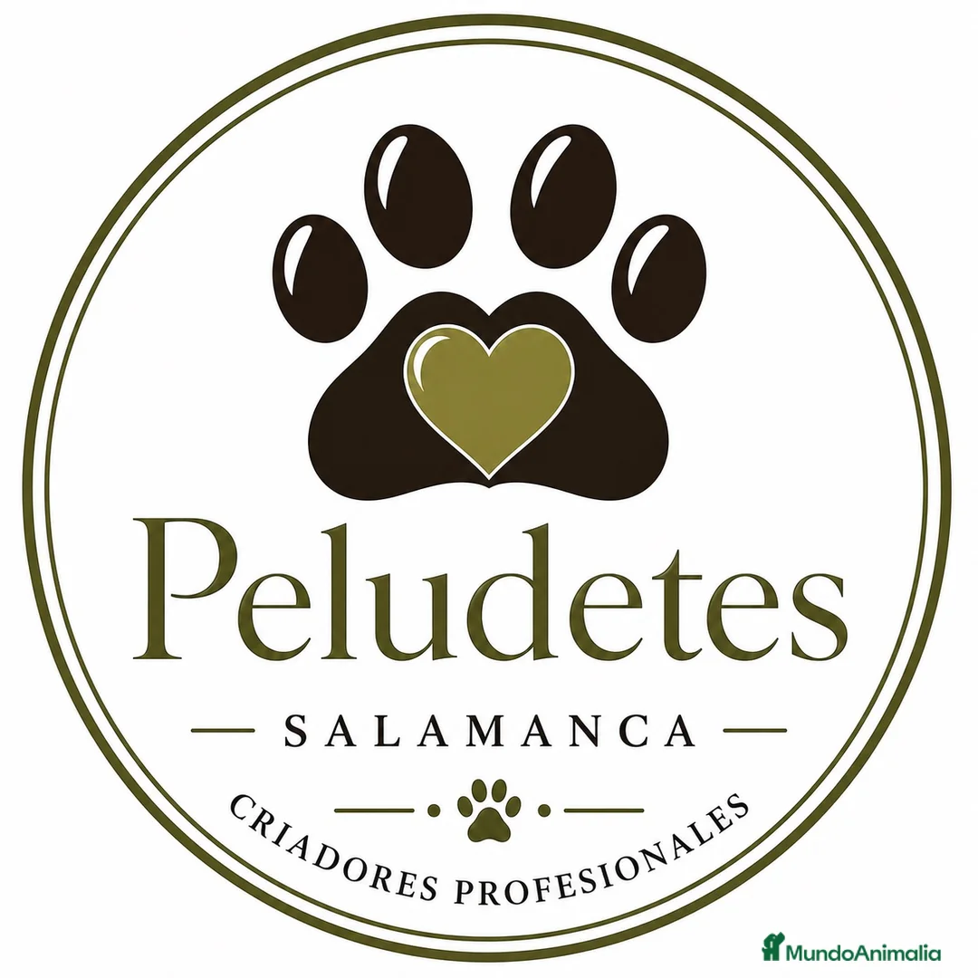 Imagen de galería {{count}}