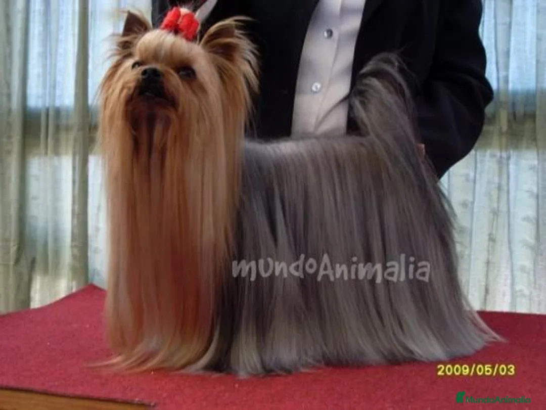 Imagen de galería {{count}}