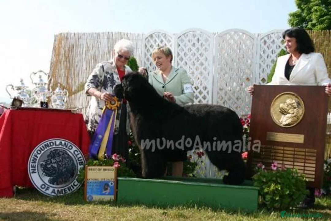 Imagen de galería {{count}}