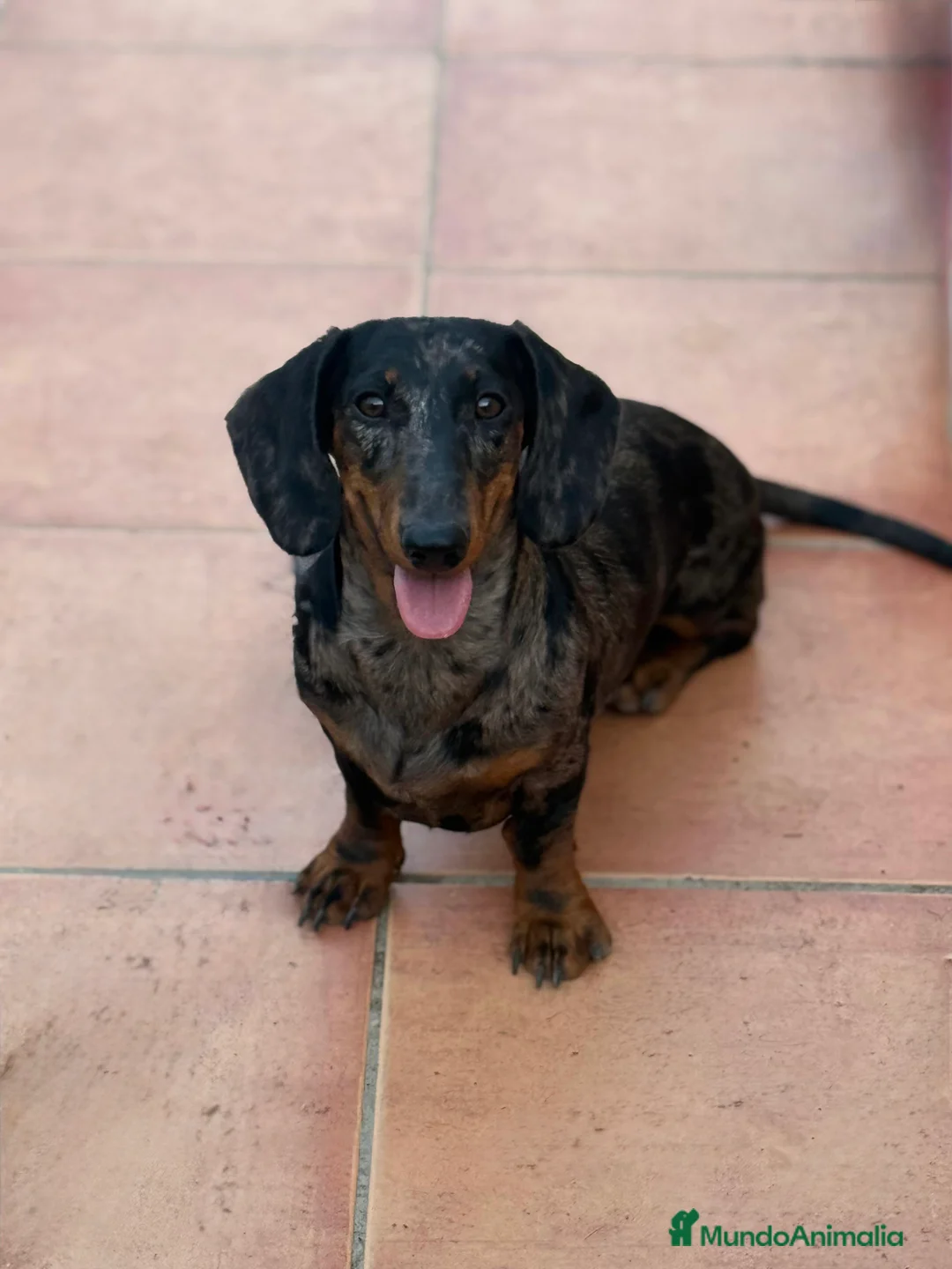 Imagen de galería {{count}}