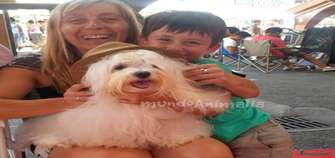 Imagen de galería {{count}}