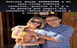 American Staffordshire-Terrier perros en venta: American Stanford, mis pequeños - Imagen 16