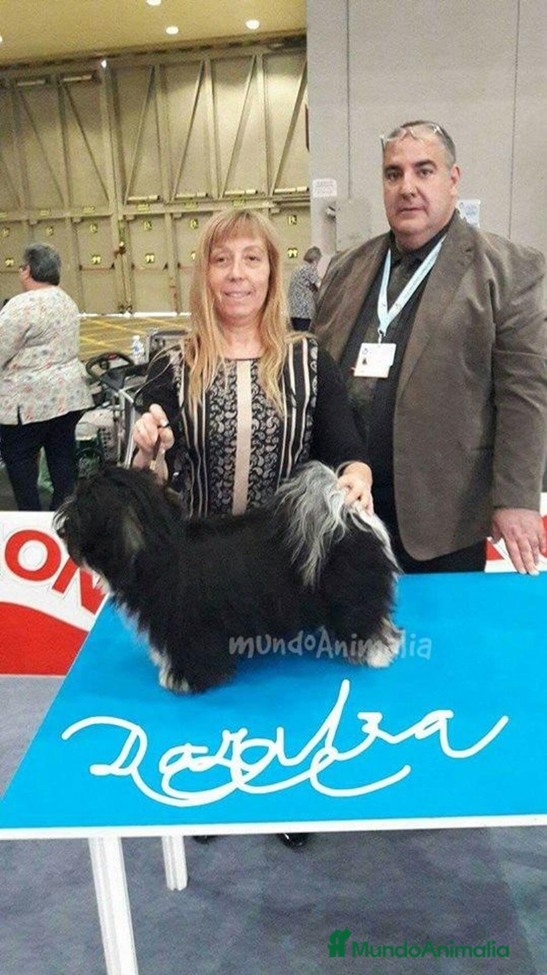 Imagen de galería {{count}}