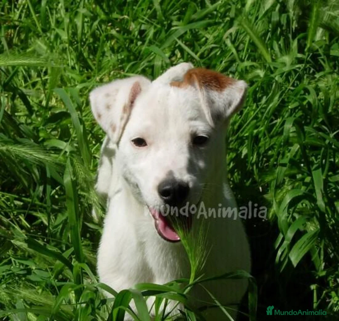 Imagen de galería {{count}}