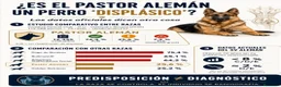 Pastor Alemán perros en venta: Pastor Alemán familia - Anuncio 2