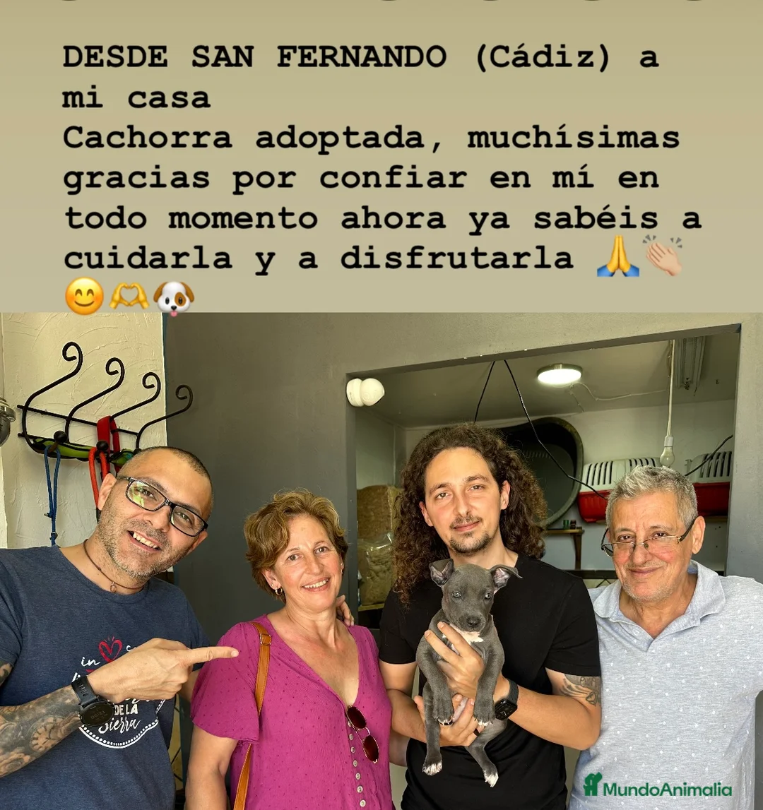 Imagen de galería {{count}}