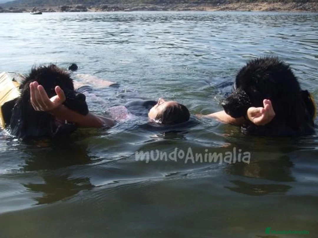 Imagen de galería {{count}}