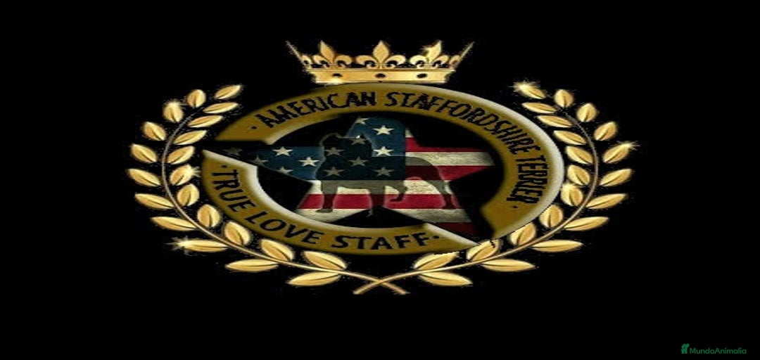 Imagen de galería {{count}}