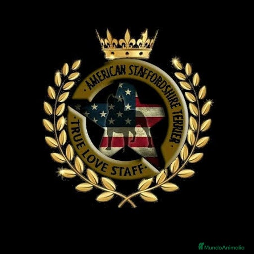 Imagen de galería {{count}}