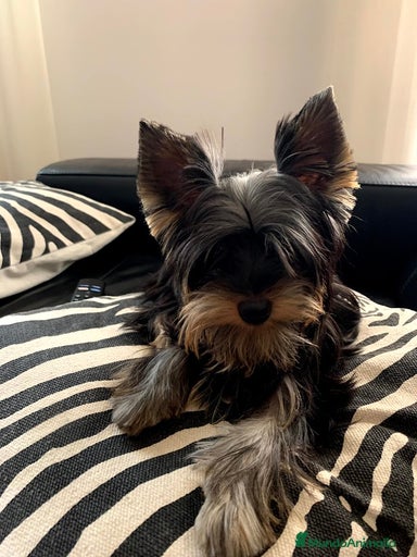 Imagen de galería {{count}}