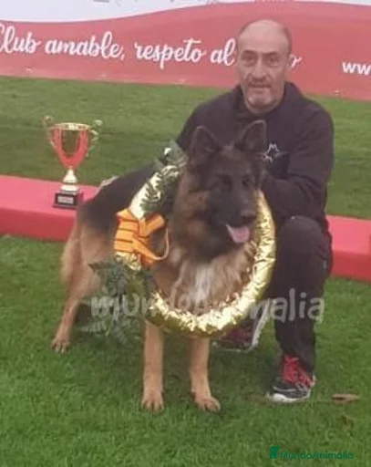 Imagen de galería {{count}}