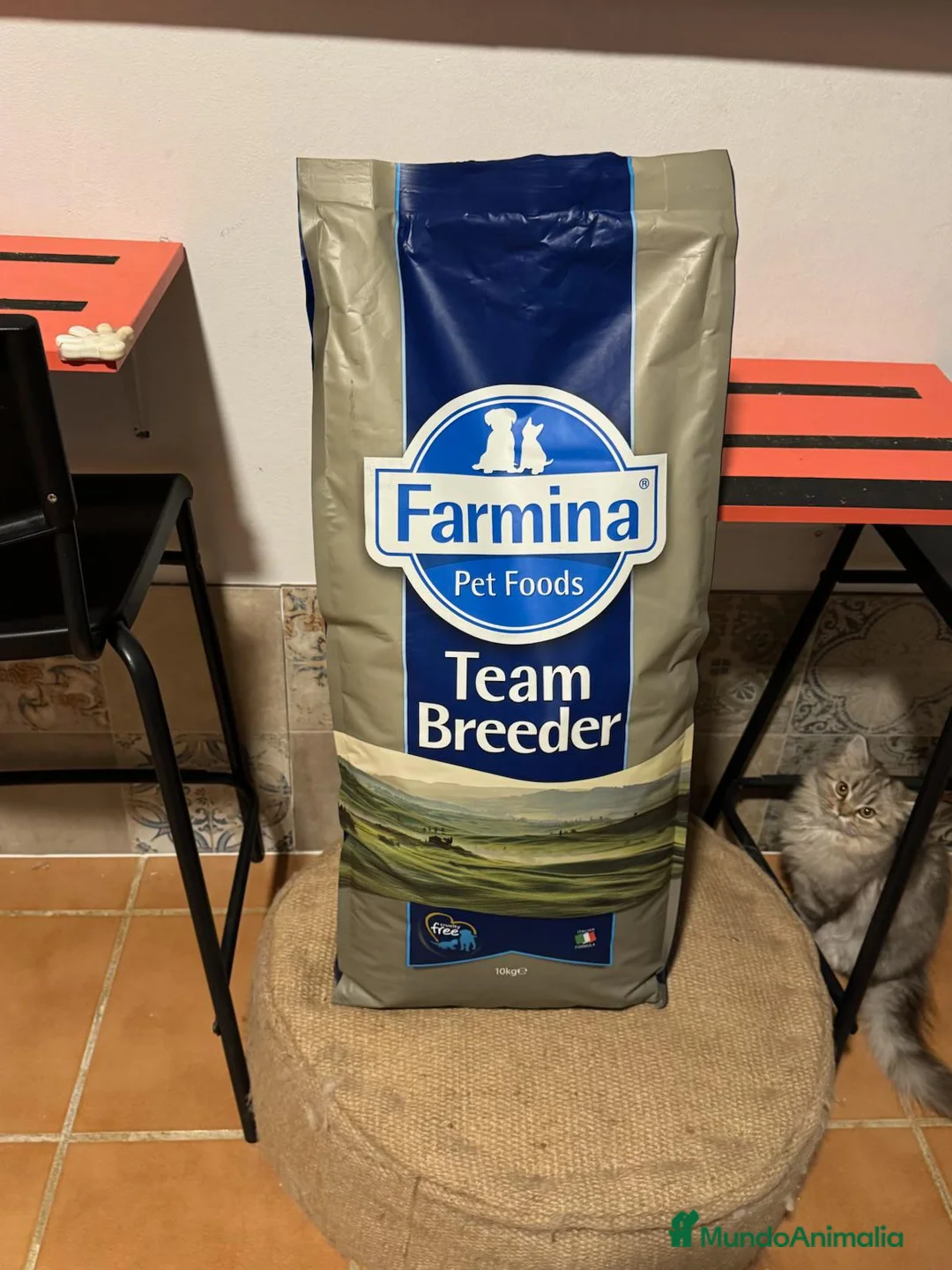 Imagen de galería {{count}}