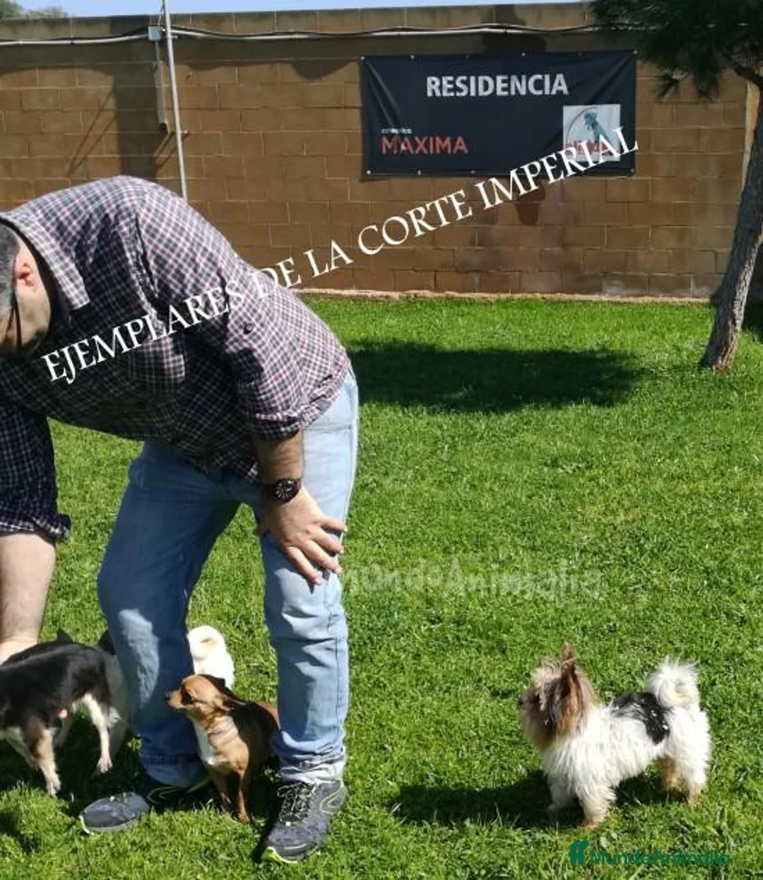 Imagen de galería {{count}}