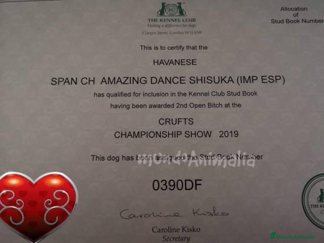 Imagen de galería {{count}}