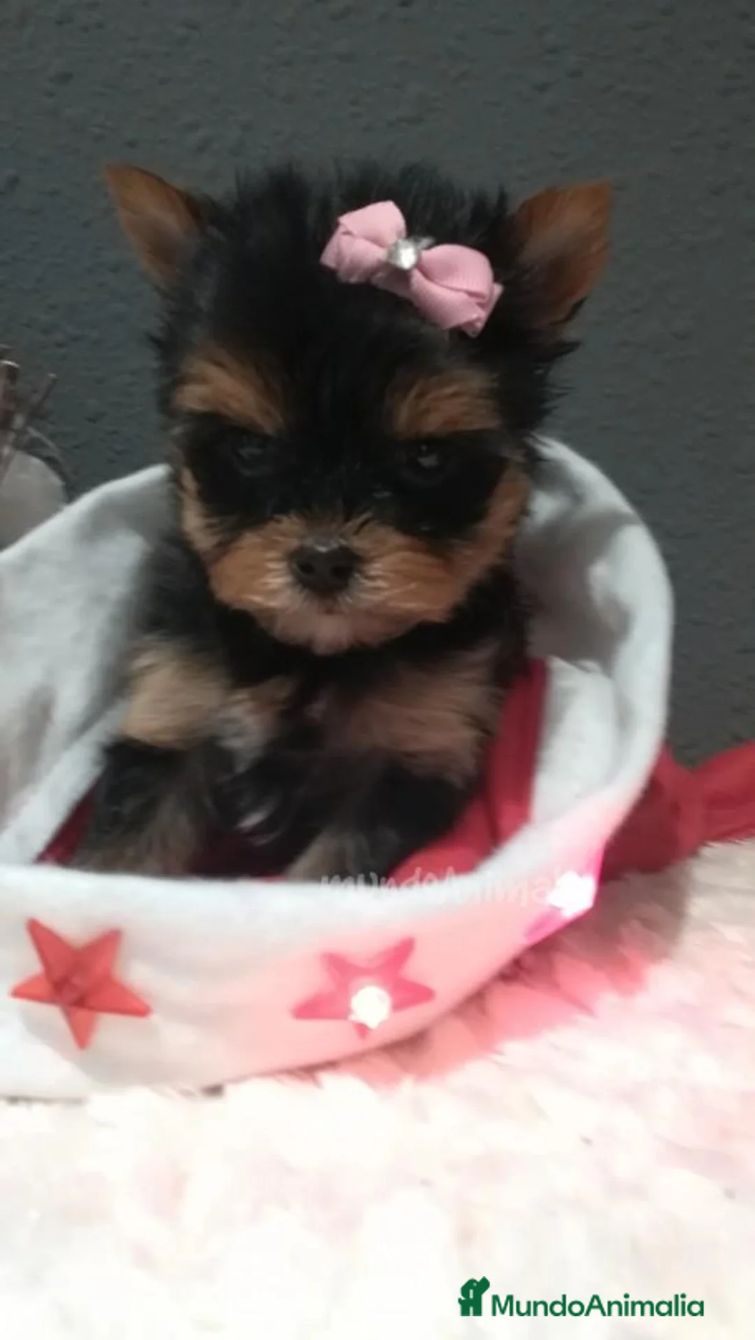 Imagen de galería {{count}}