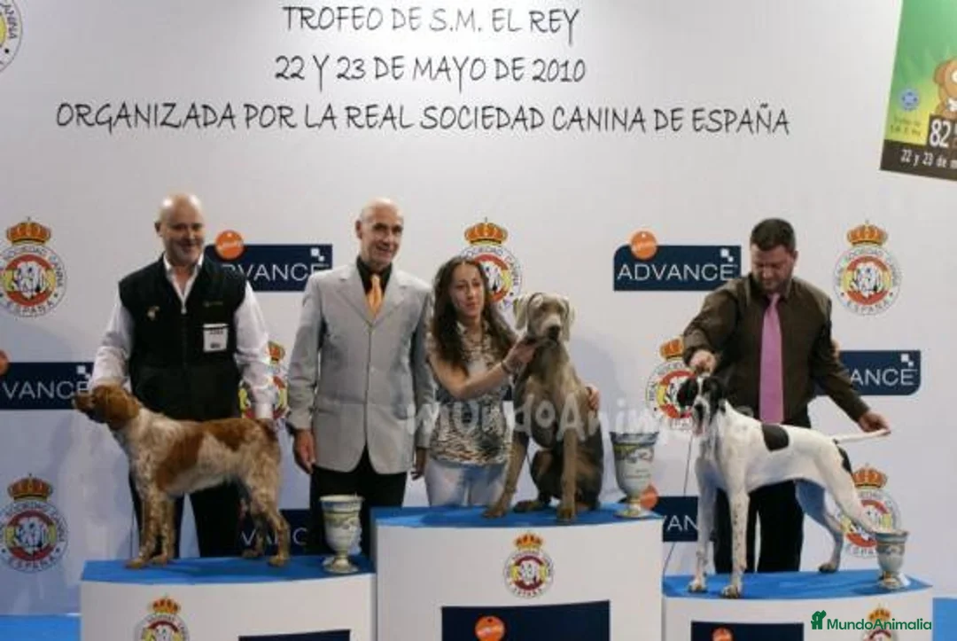 Imagen de galería {{count}}