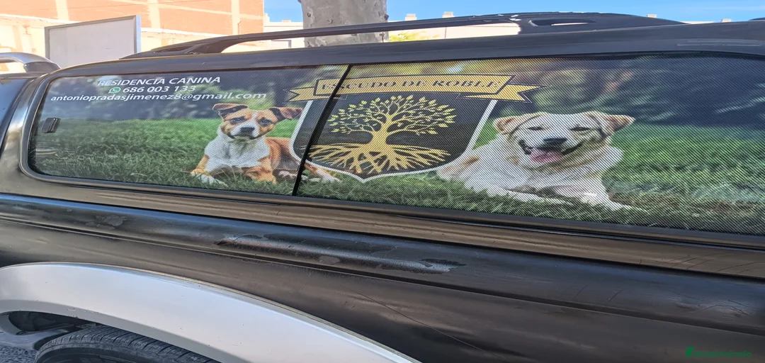 Imagen de galería {{count}}