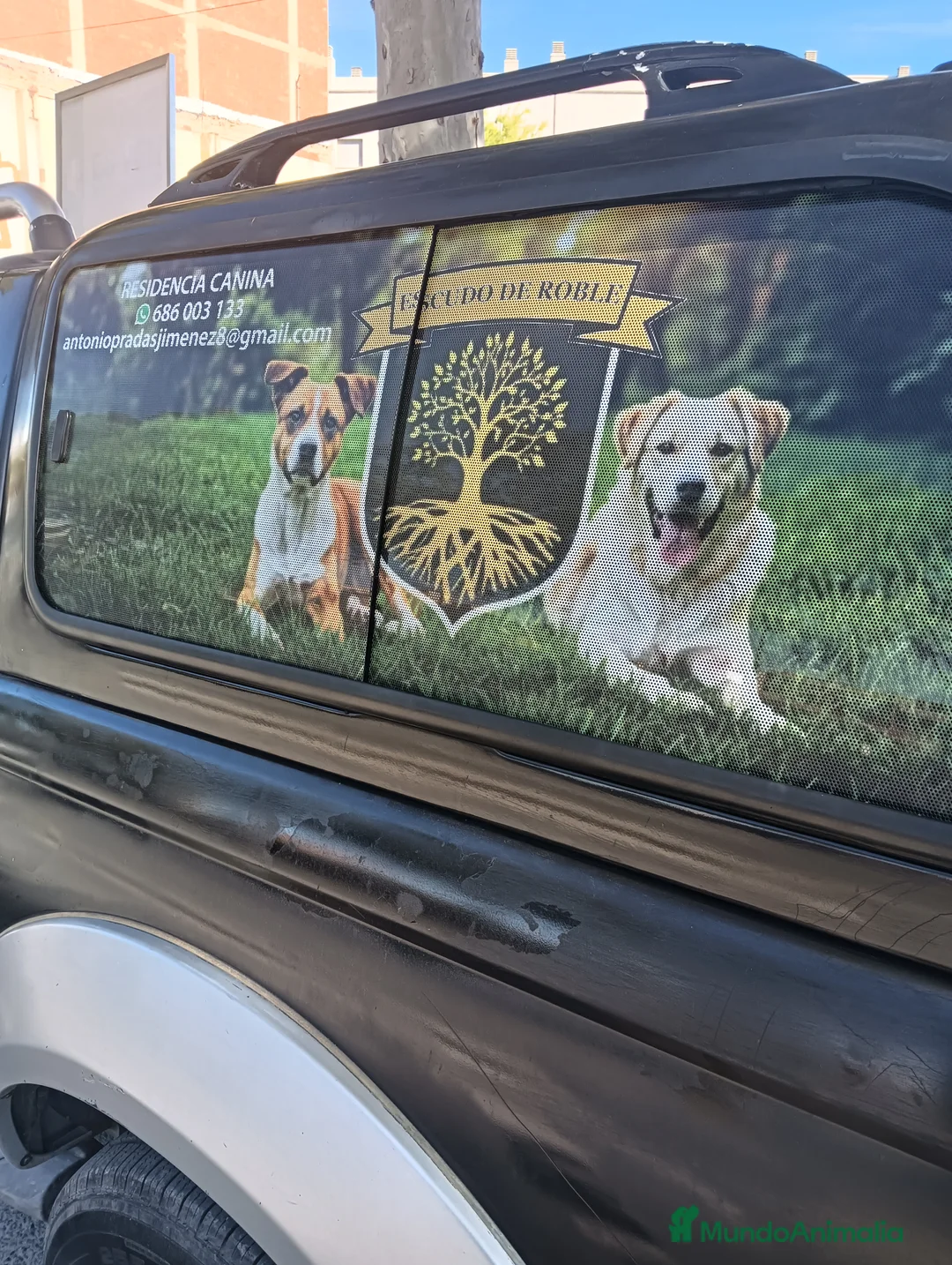 Imagen de galería {{count}}