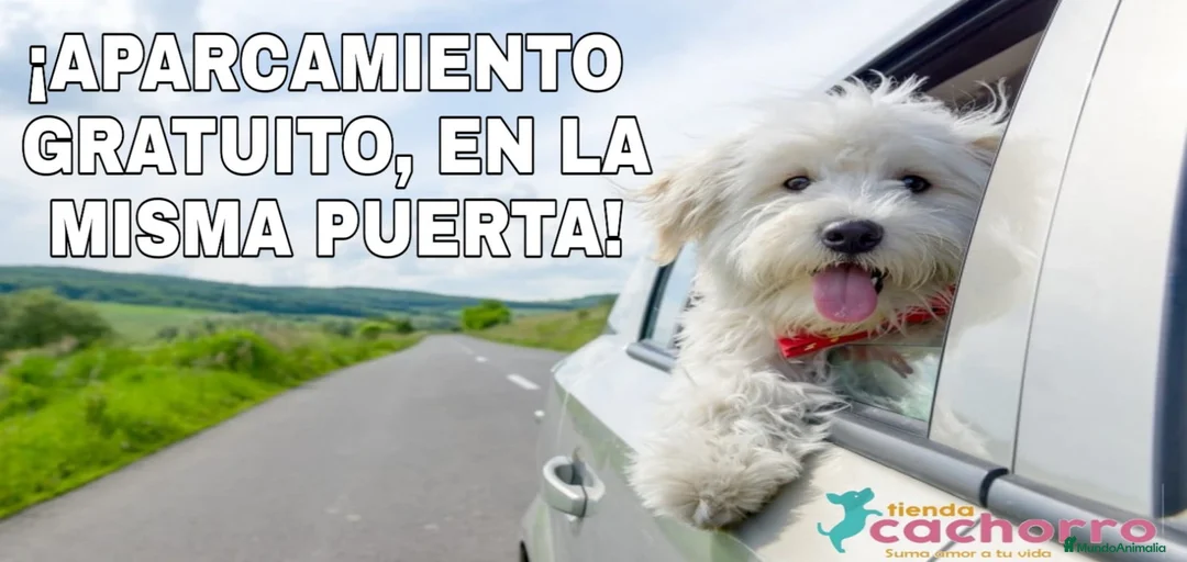 Imagen de galería {{count}}