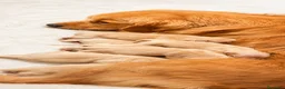 Golden Retriever perros en venta: GOLDEN RETRIEVER CALIDAD - Anuncio 2