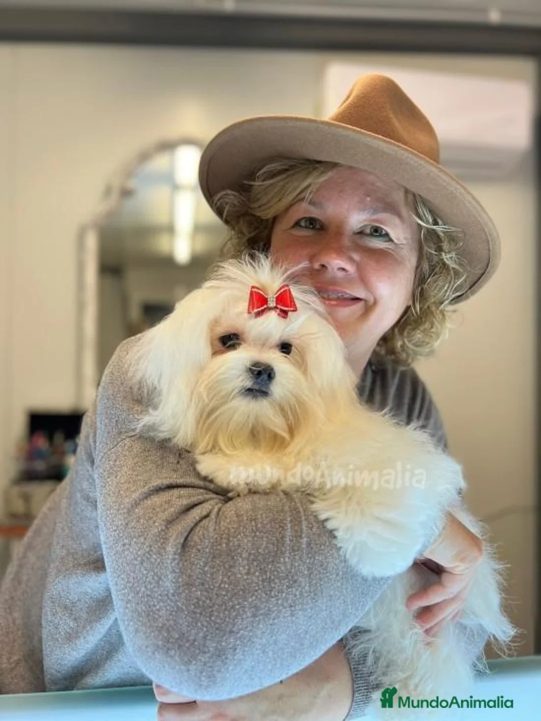 Imagen de galería {{count}}