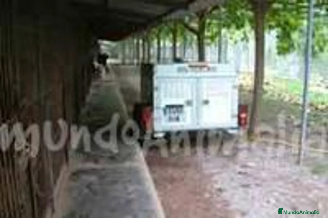 Imagen de galería {{count}}