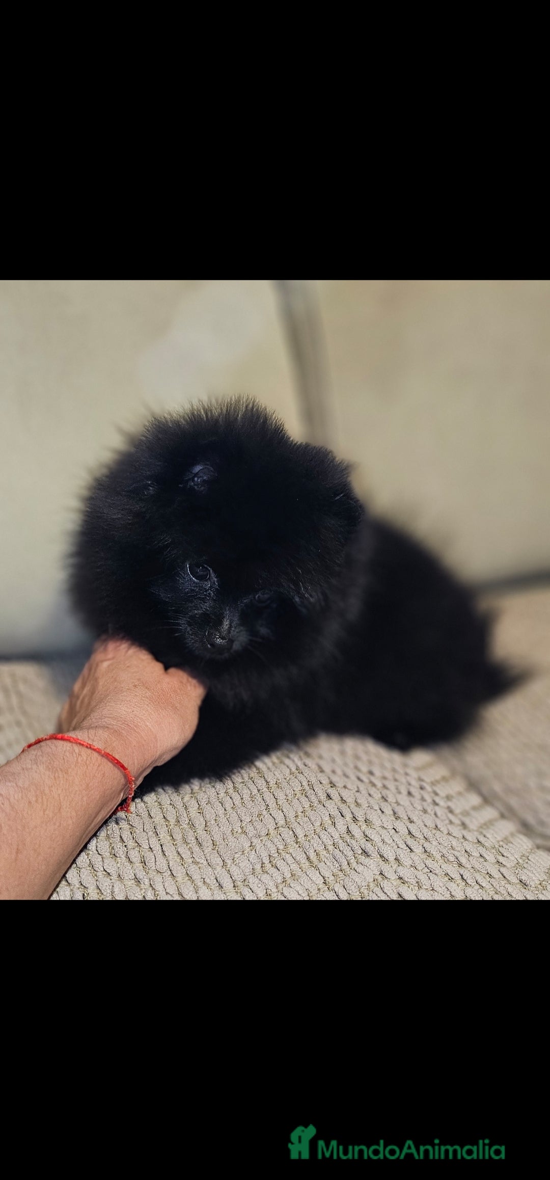 Imagen de galería {{count}}