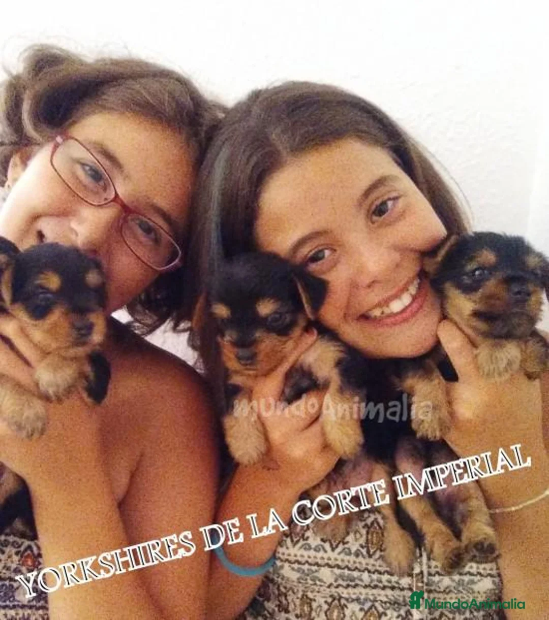 Imagen de galería {{count}}