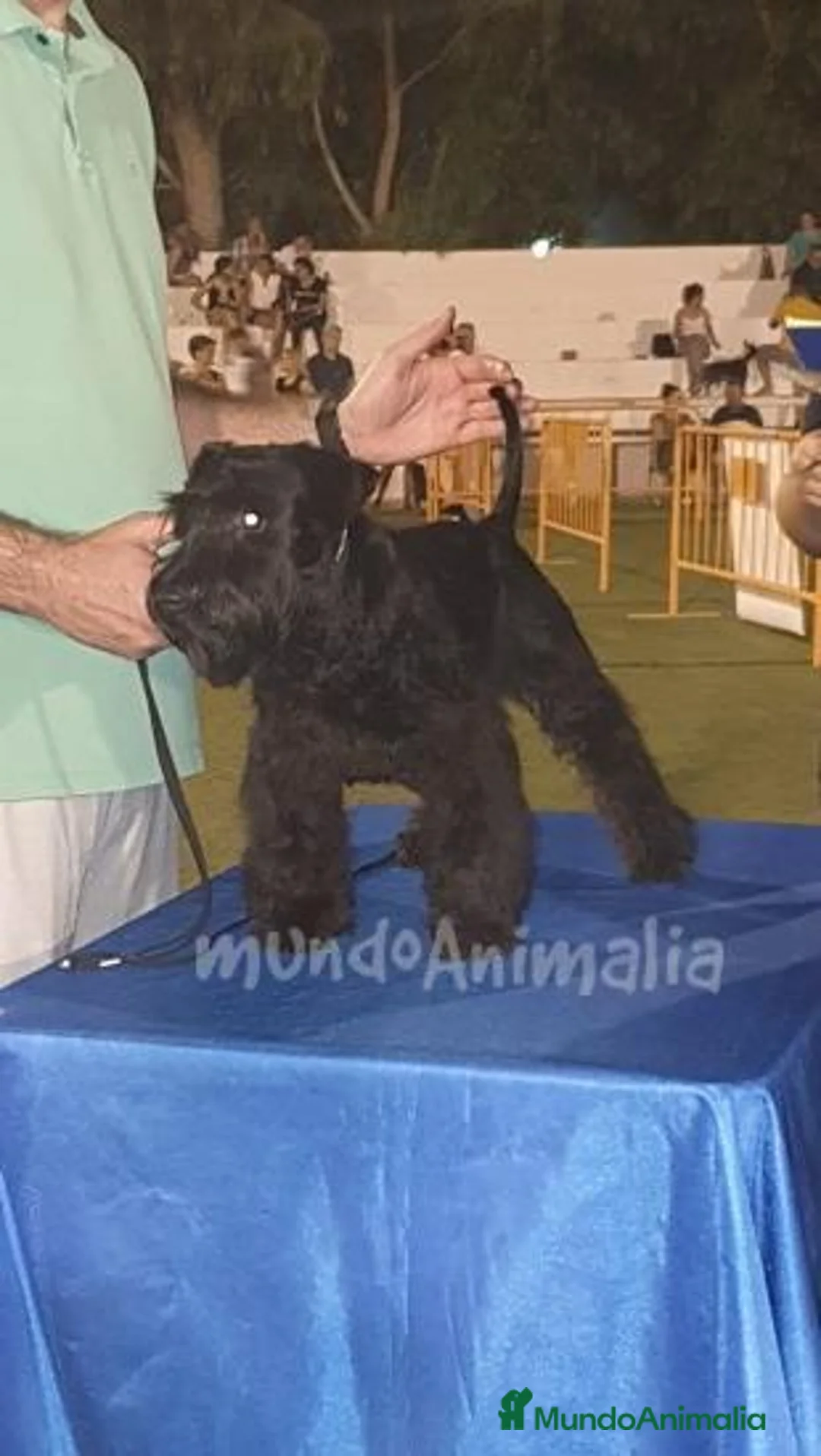 Imagen de galería {{count}}