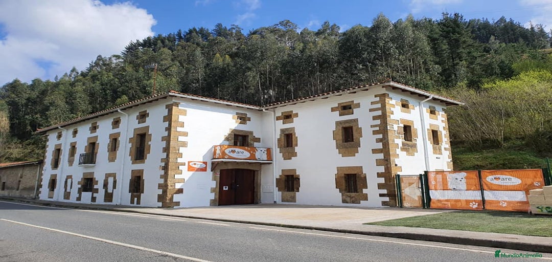 Imagen de galería {{count}}