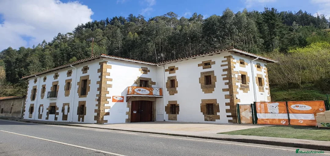 Imagen de galería {{count}}