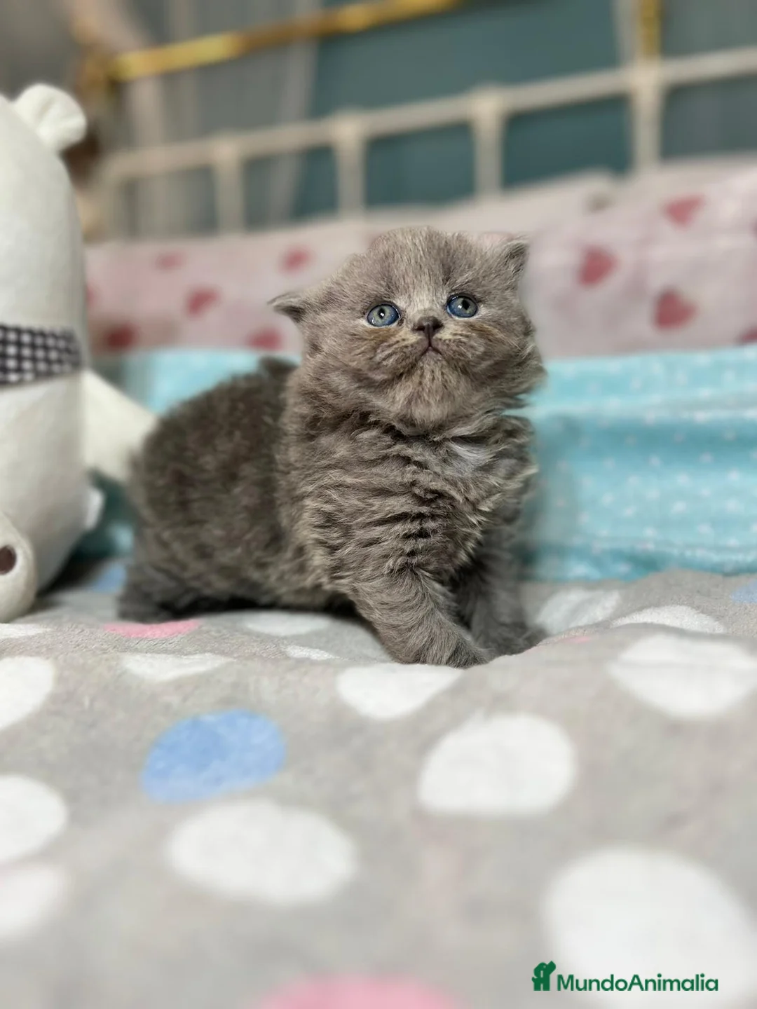 Imagen de galería {{count}}