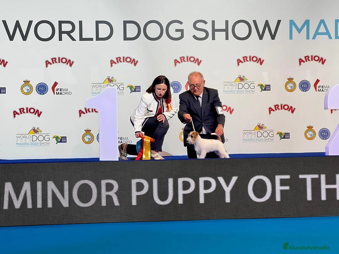 Imagen de galería {{count}}