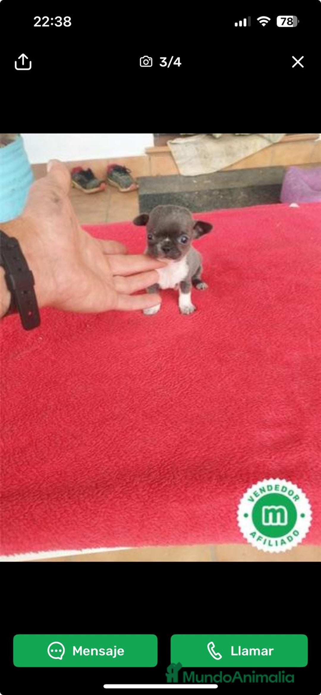 Imagen de galería {{count}}