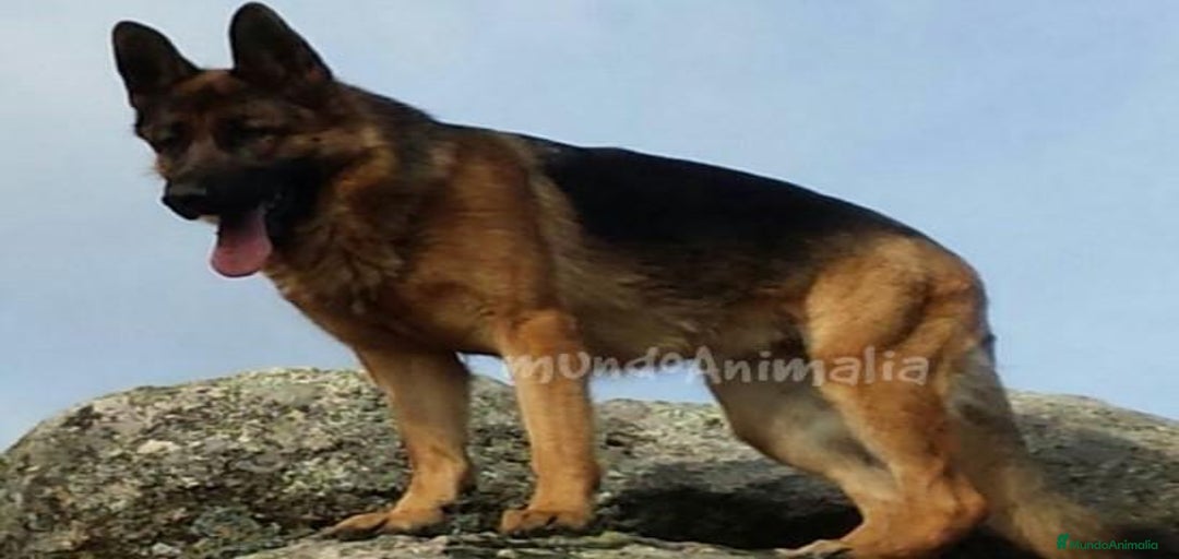 Imagen de galería {{count}}