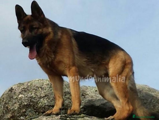 Imagen de galería {{count}}