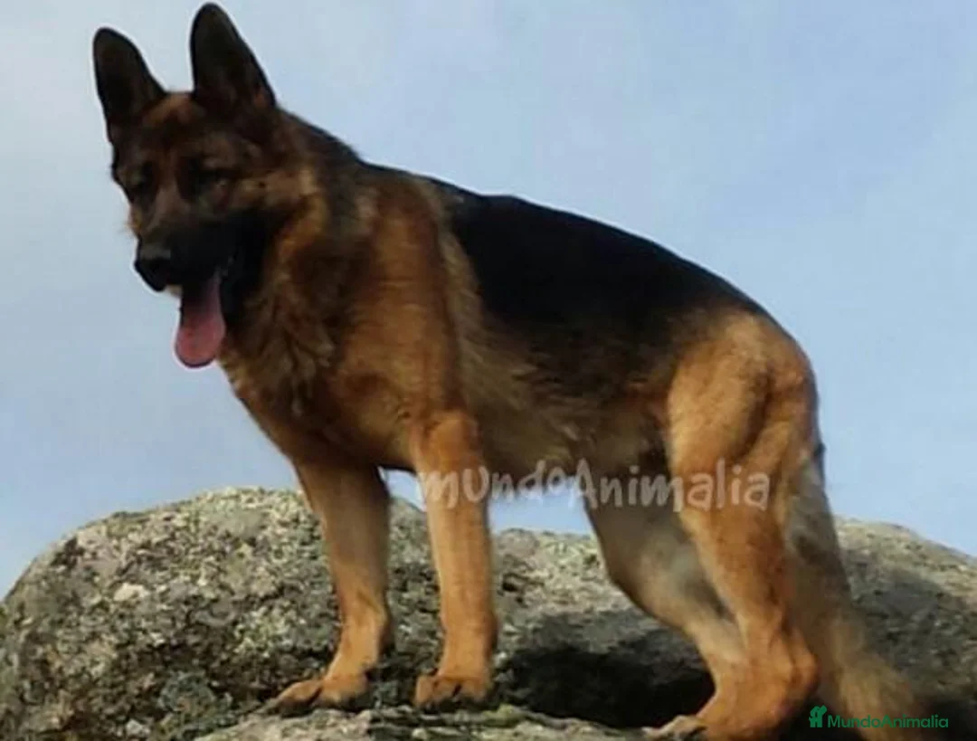 Imagen de galería {{count}}