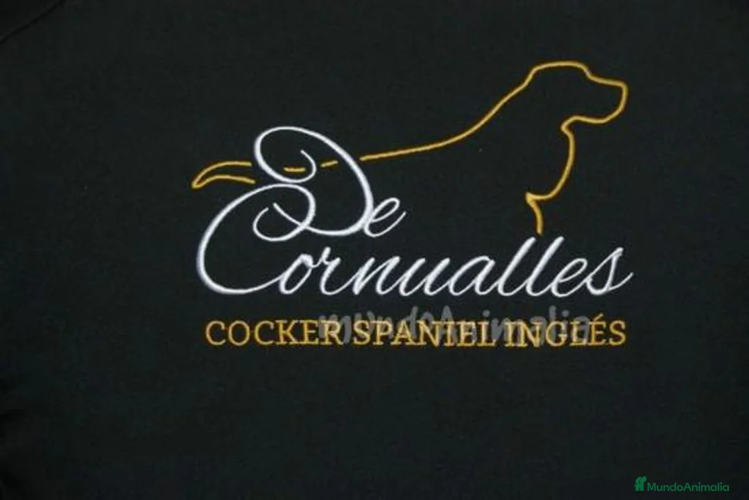 Imagen de galería {{count}}