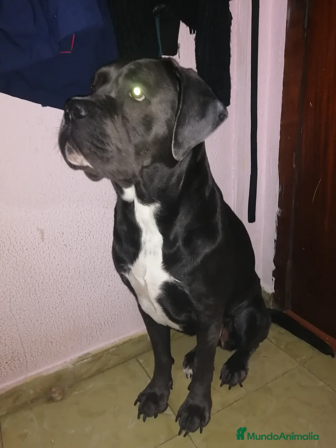 Imagen de galería {{count}}