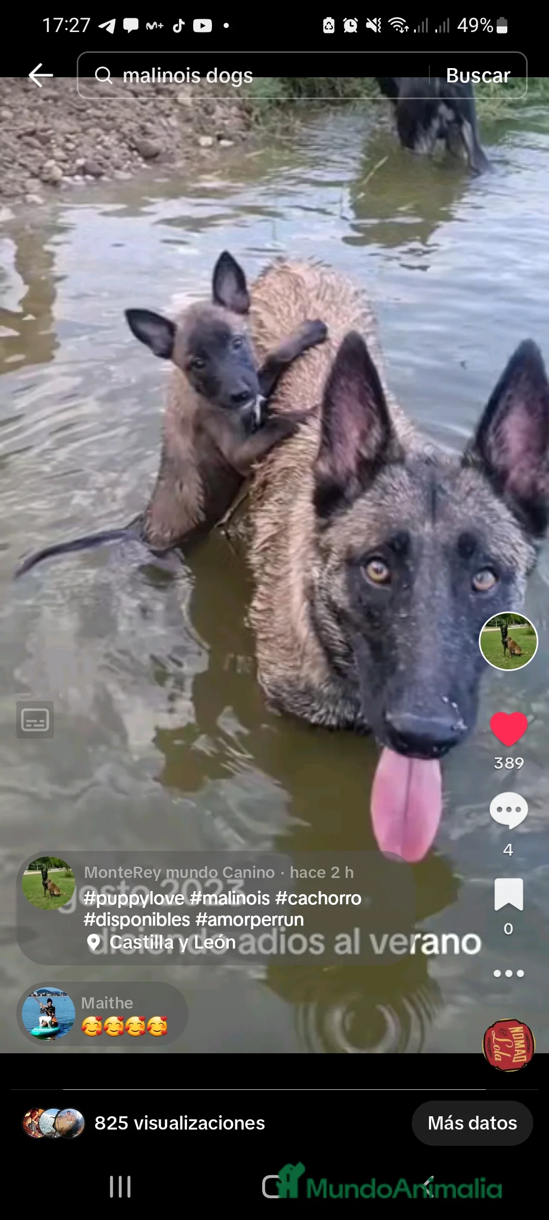 Imagen de galería {{count}}