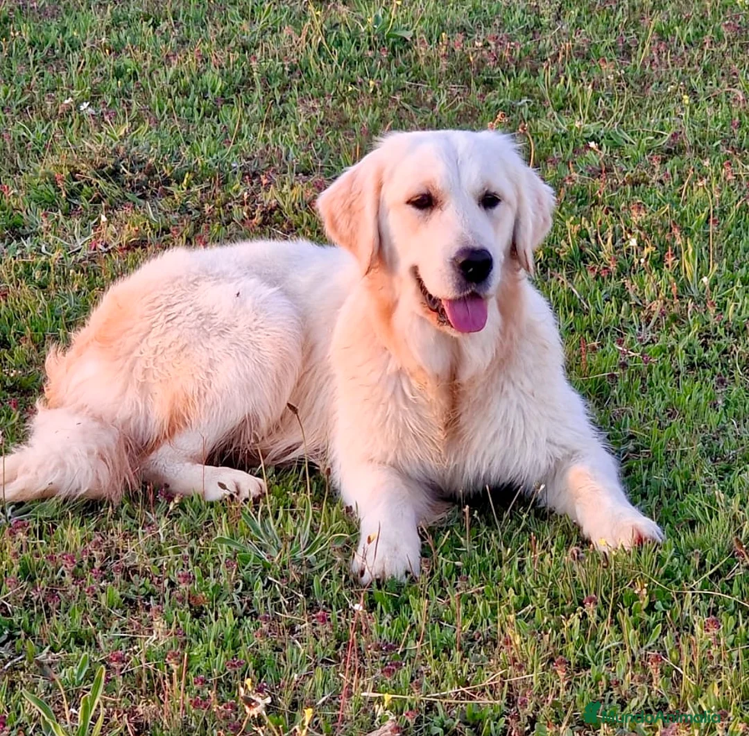 Imagen de galería {{count}}