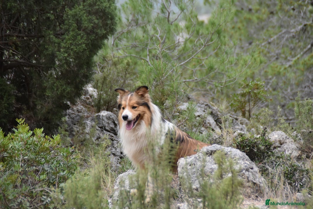 Imagen de galería {{count}}