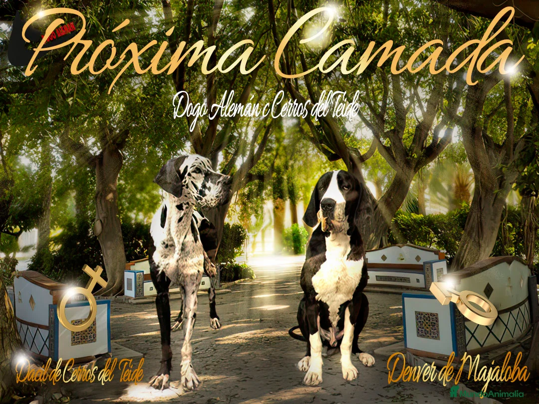 Imagen de galería {{count}}