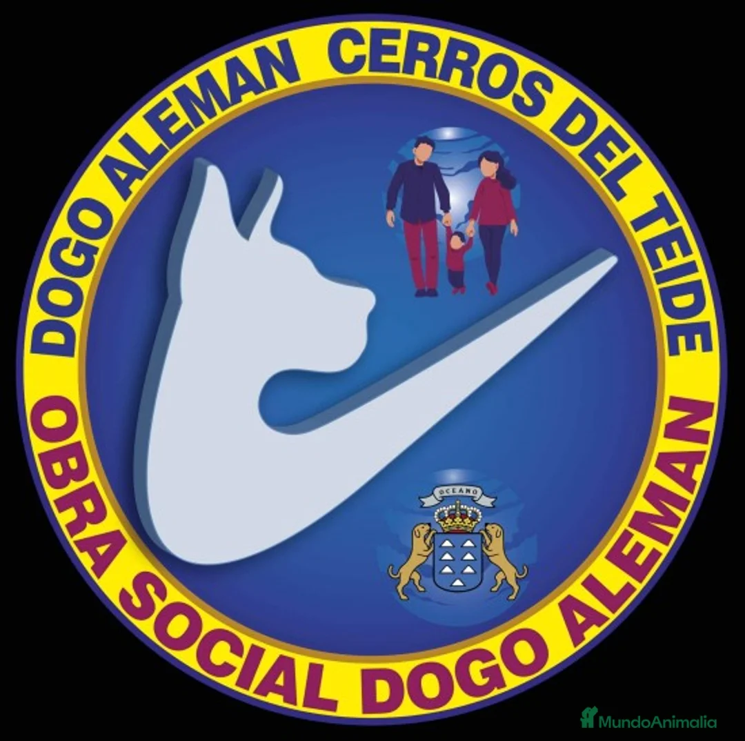 Imagen de galería {{count}}