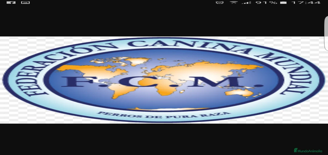 Imagen de galería {{count}}